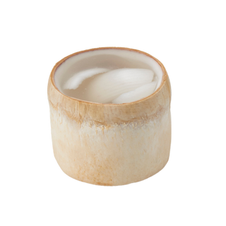 SiamCoco Coconut Jelly in Husk