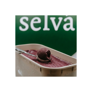 Selva Açaí Sorbet 5L Tub – Premium
